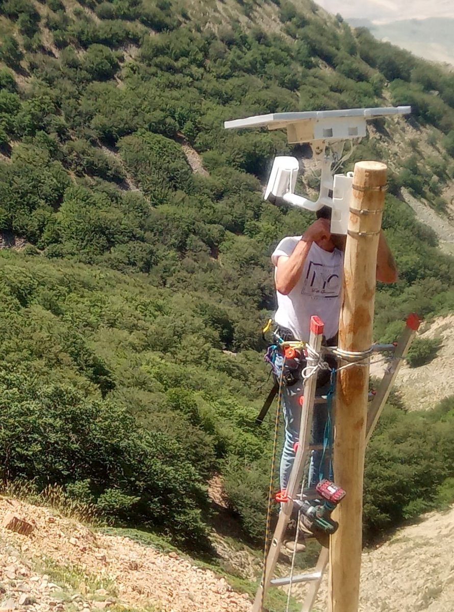 life4fir tweet media