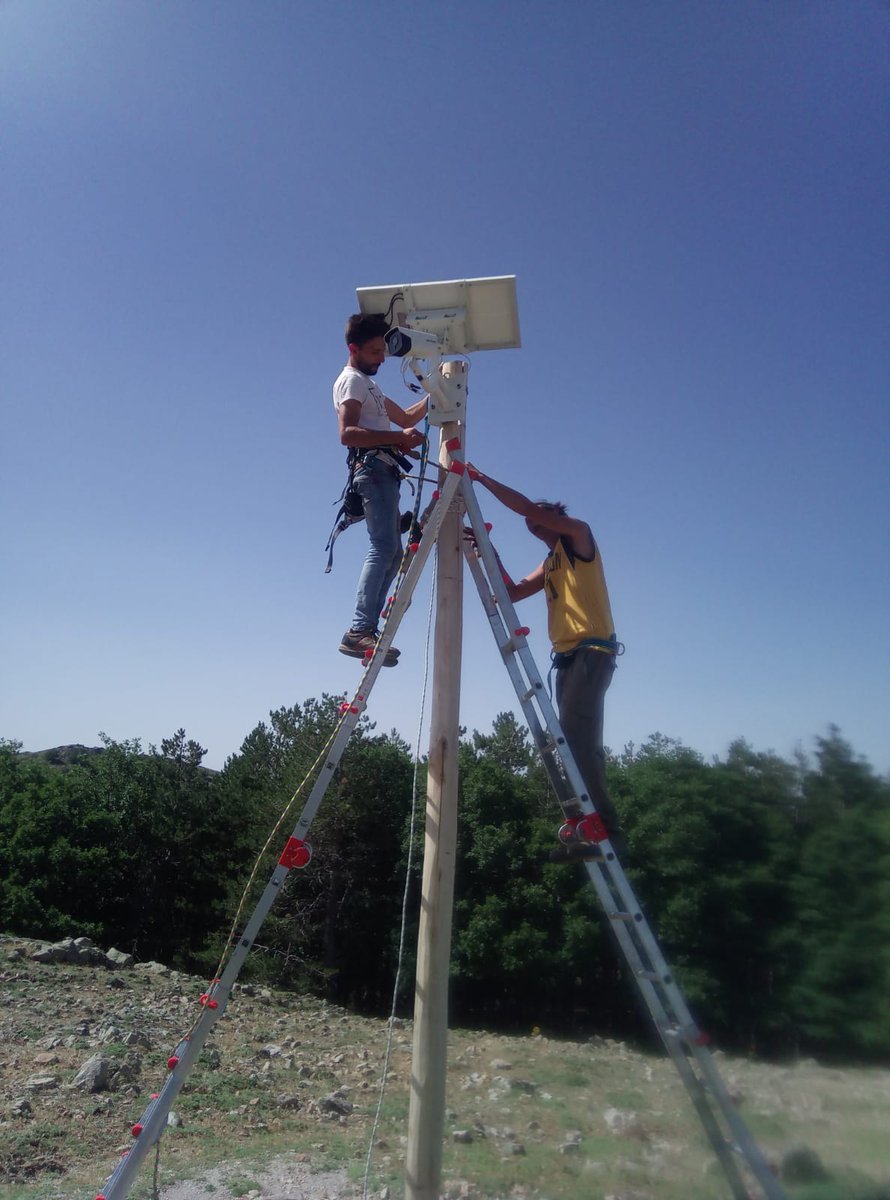 life4fir tweet media