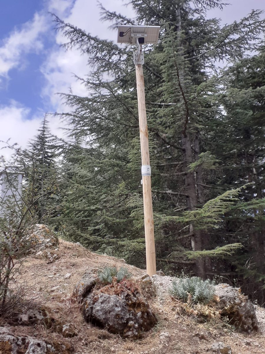 life4fir tweet media