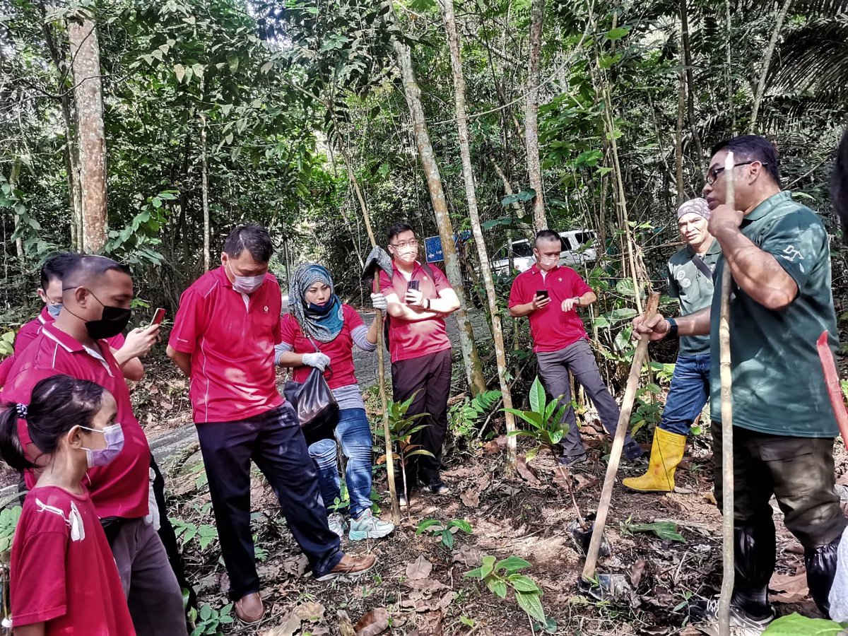 FRIMKepong's tweet photo. Syarikat Gadang Holdings Bhd jalankan aktiviti CSR penanaman pokok di @FRIMKepongpada pd 16/7 bg menyokong Program Penghijauan Malaysia melalui Kempen Penanaman @100jutapokok 

#CSR_FRIM #FRIMTanamPokok #TreePlantingFRIM #PokokKitaKehidupanKita #OurTreesOurLife #100JutaPokok https://t.co/88P16w9dRn