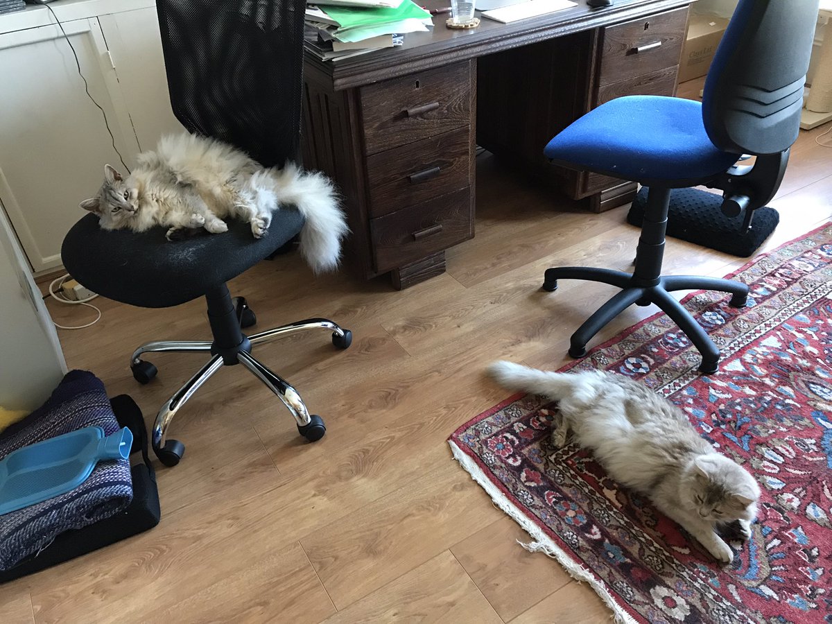 Jessica Duchen ✍️🎶 tweet media