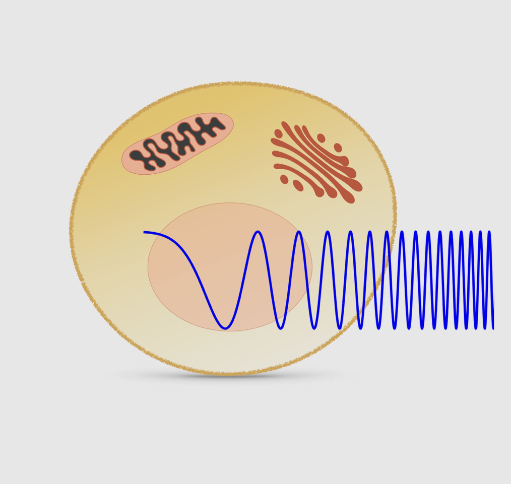 ETH_BSSE's tweet image. Listening to the noise in cells
New insights on tracking the dynamic molecular processes in living biological cells using #frequencydomain computational tools. The study by the Control Theory Lab @KhammashLab was published in @natcomms
&amp;gt; bit.ly/3zNIG8u