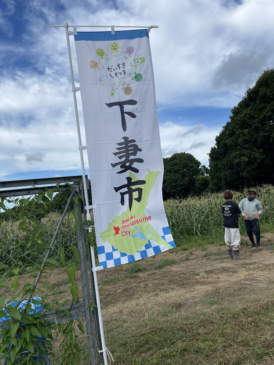 SHIMOTSUMA_CLST's tweet photo. 本日無事にトウモロコシの収穫体験が終了しました🌽
収穫後に茹でたてのとうもろこしを食べて頂きました😋
皆さんからの喜びの声沢山頂きました😭
やっぱりイベントは楽しいですね🙌
ありがとうございました🙇♂️
#CLSTquality
#下妻ぐらし https://t.co/yfh8a6KMoU