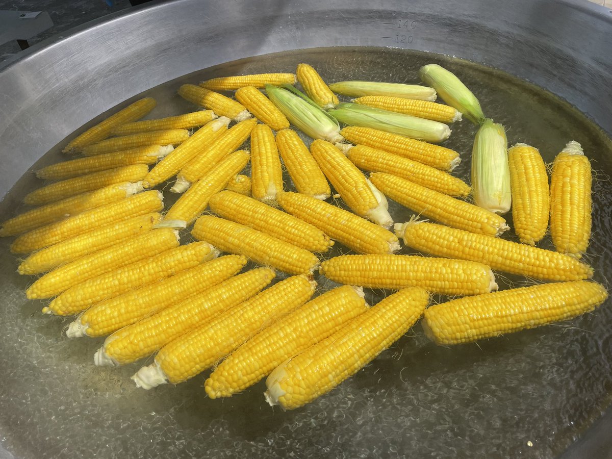 SHIMOTSUMA_CLST's tweet photo. 本日無事にトウモロコシの収穫体験が終了しました🌽
収穫後に茹でたてのとうもろこしを食べて頂きました😋
皆さんからの喜びの声沢山頂きました😭
やっぱりイベントは楽しいですね🙌
ありがとうございました🙇♂️
#CLSTquality
#下妻ぐらし https://t.co/yfh8a6KMoU