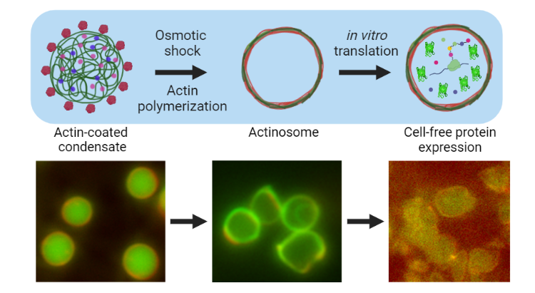 Ketan Ganar tweet media