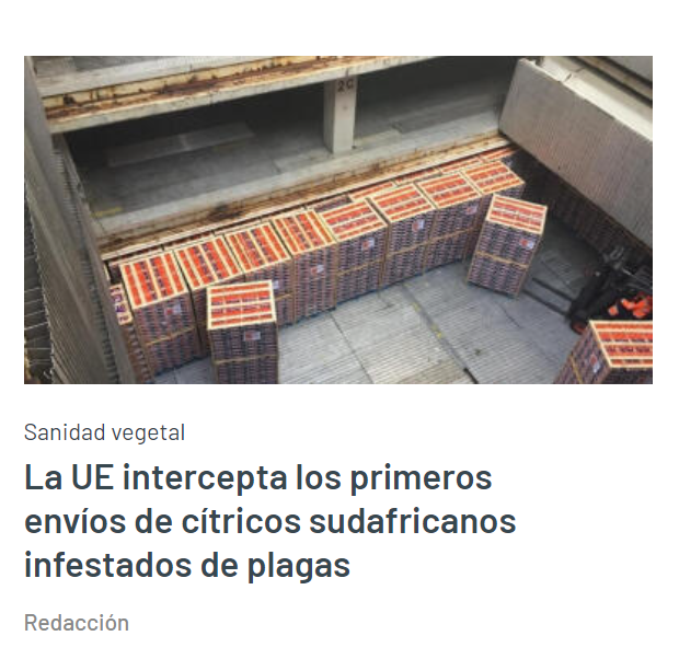 Tomy_Rohde's tweet photo. Siete (que hayan visto) envíos en un mes infectadas de plagas que aquí de hecho no existen.

Que siga la Unión Europea y sus asesores y cosas de esas aumentando la importación, mientras nos cuentan lo del campo a la mesa la proximidad y la abuela fuma. https://t.co/2AZaB2eUts