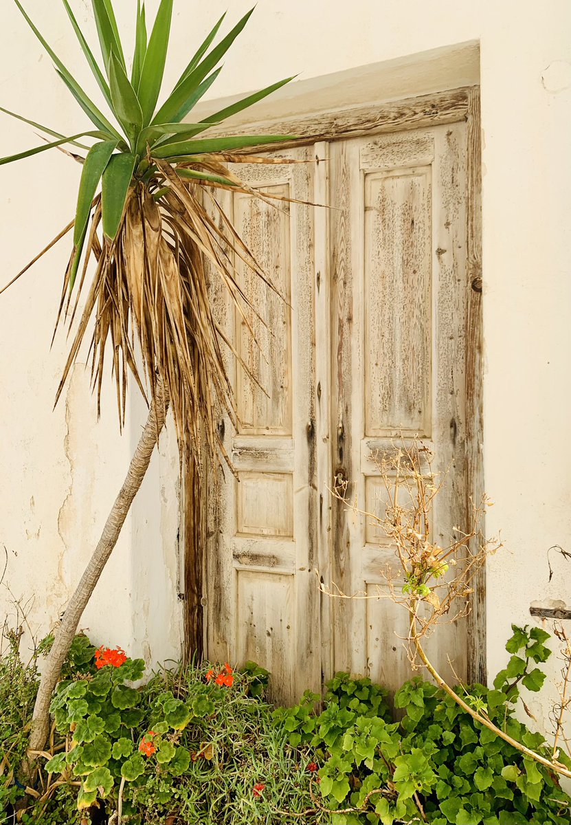 And then there’s the, in my opinion, more beautiful non painted, non touristy bits of Naxos old town….

#followintrepidbear #naxos #greece #sailgreece #greekislands #cyclades_islands #travel #travelphotography #liveaboardsailboat #travelcouple #explorenaxos #catsofgreece