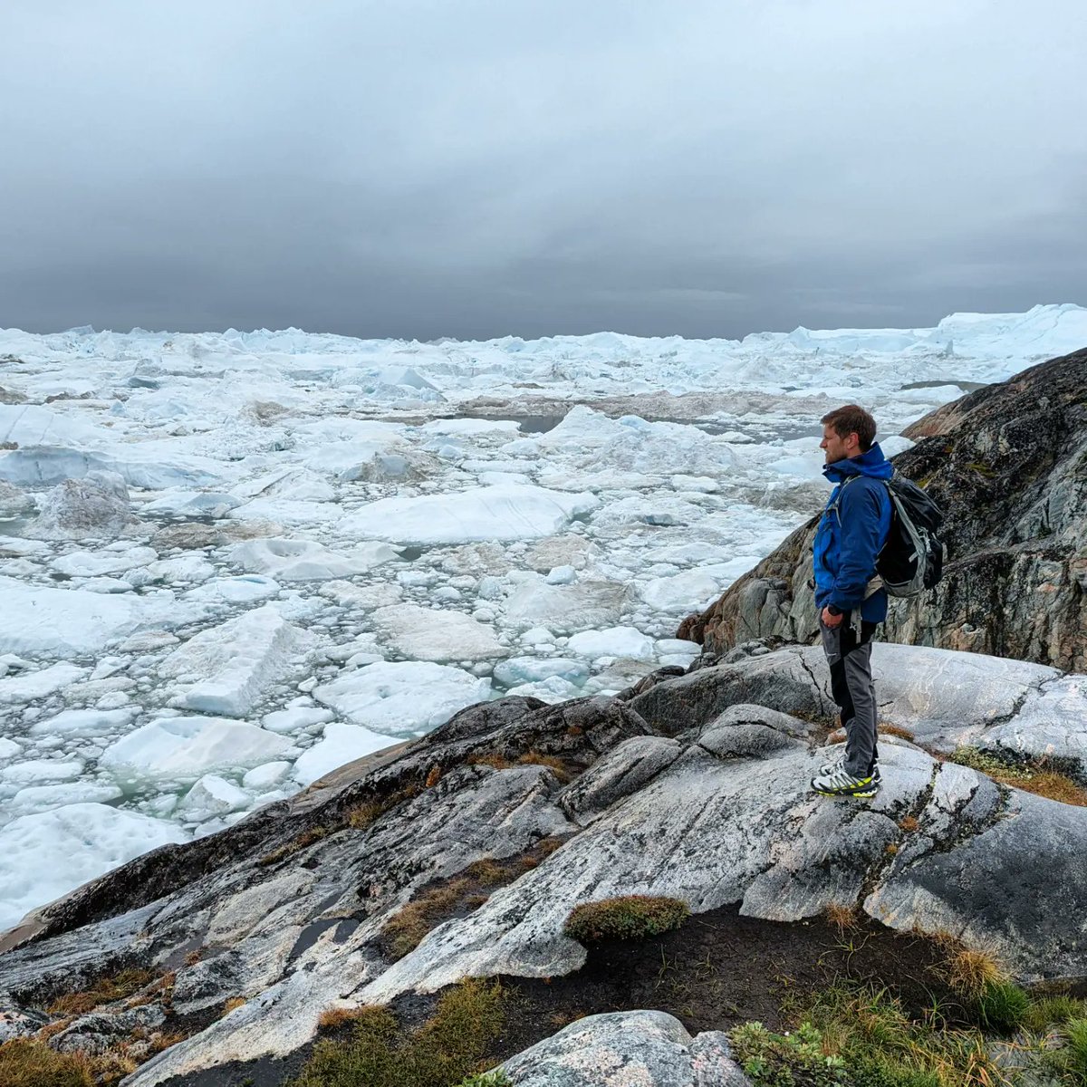 Steffan Griffiths tweet media