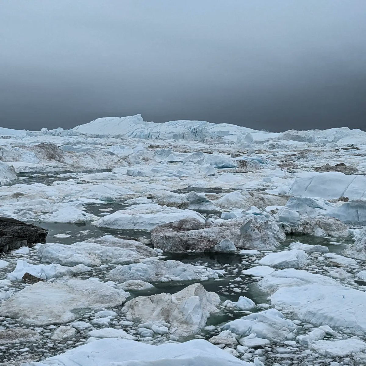 Steffan Griffiths tweet media