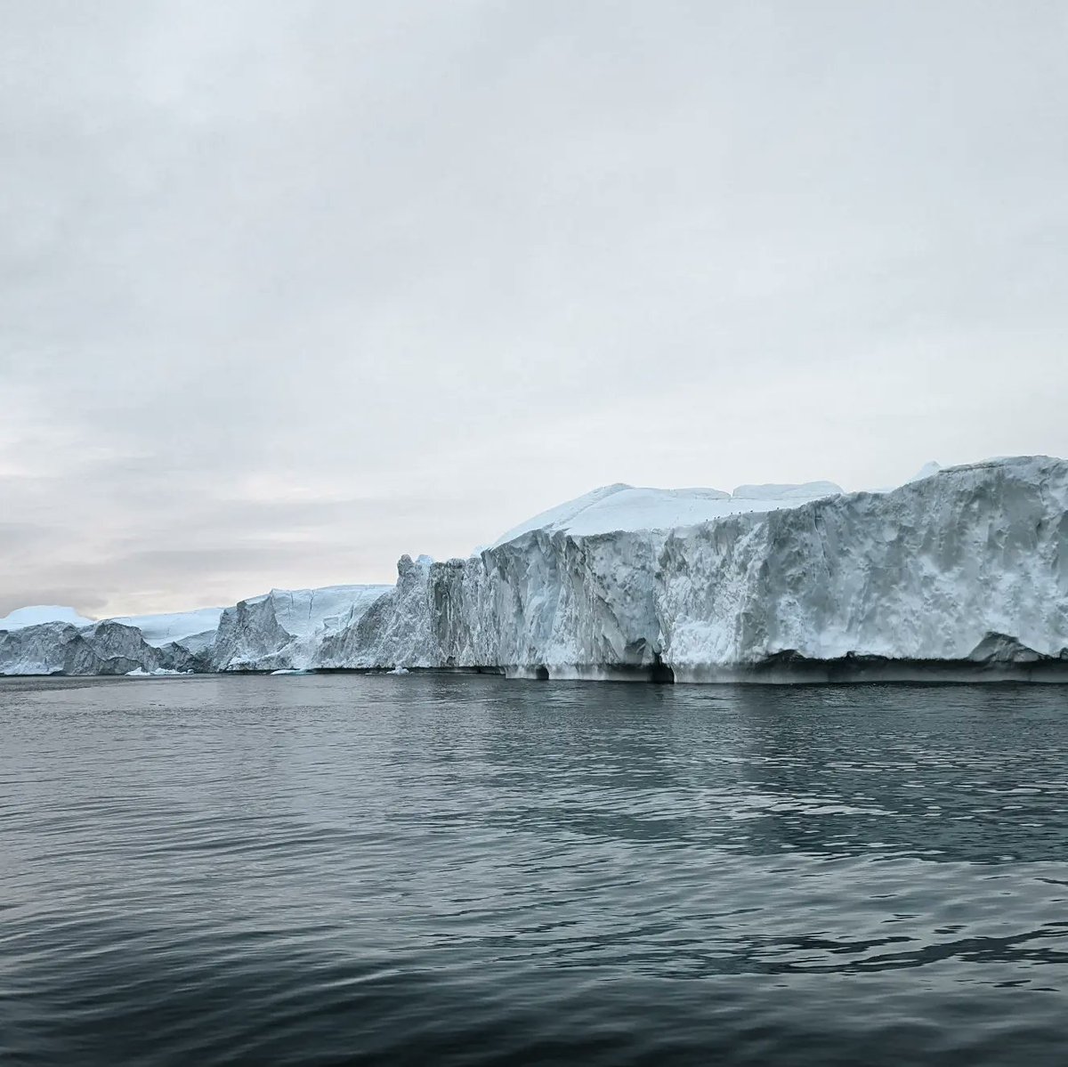 Steffan Griffiths tweet media