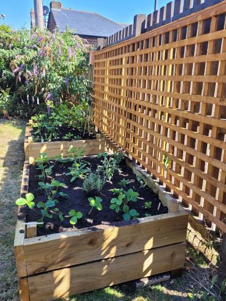 North Wales Housing tweet media