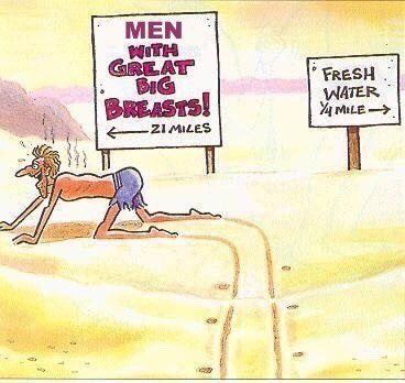 chamyl88's tweet image. Mental health check. Last four memes in your phone