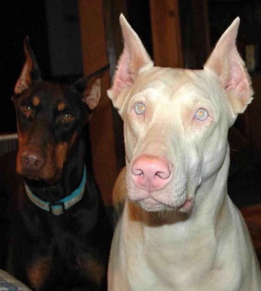 DRIP (@dript3r) on Twitter photo 