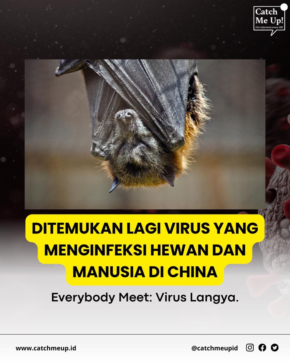 Virus Langya sudah menginfeksi setidaknya 35 orang di Provinsi Shandong dan Provinsi Henan, China. 

Peneliti masih terus melakukan penelitian apakah virus ini bisa menyebar dari manusia ke manusia, guys. 

Masih pada inget kan, cara ngaduk dalgona sama ngerawat monstera, kan?