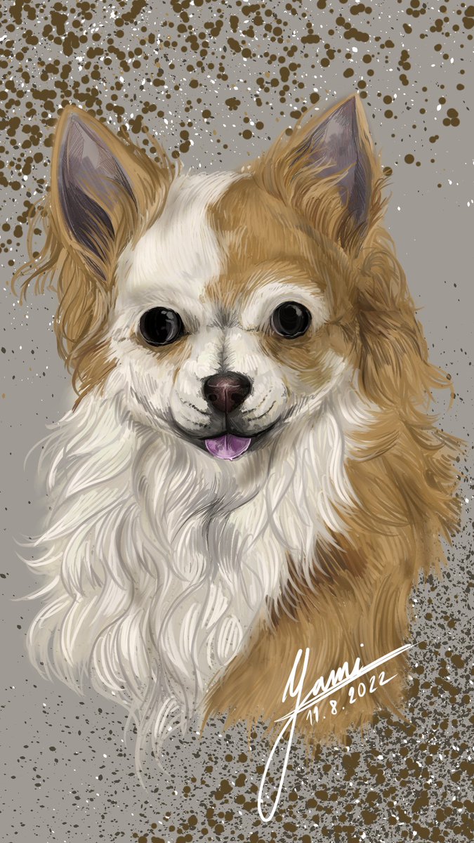 art_yamiii's tweet photo. Drawing of my doggo as a gift for my mom. 
We all love her ( the dog, but mom as well of course! ♥)

#dog #chiuaua #pet #realism #artwork #gift #digitalart #CLIPSTUDIOPAINT https://t.co/fSvSRSB5PD