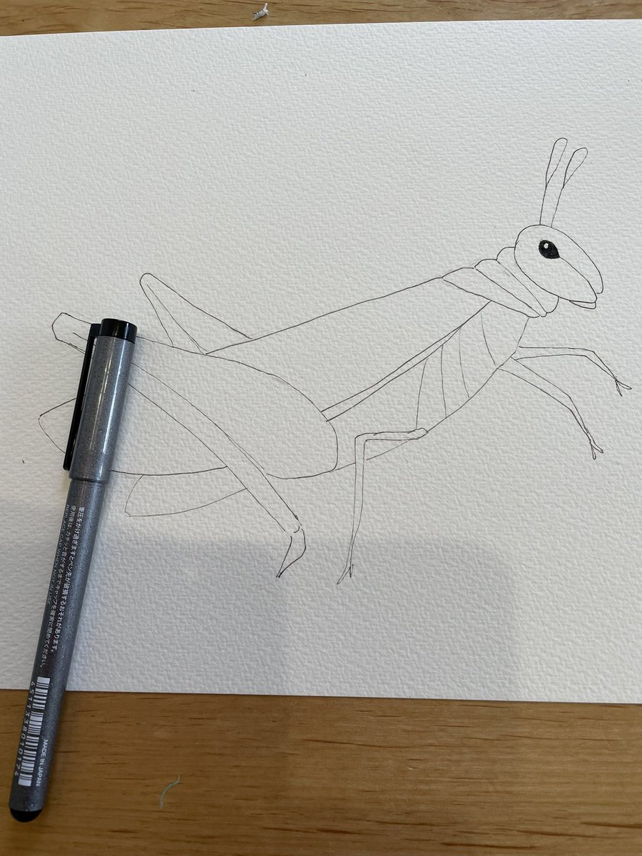 バッタ のイラスト マンガ コスプレ モデル作品 46 件 Twoucan