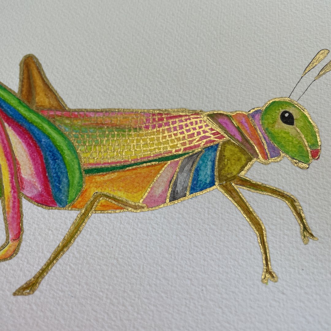 バッタ のイラスト マンガ コスプレ モデル作品 46 件 Twoucan