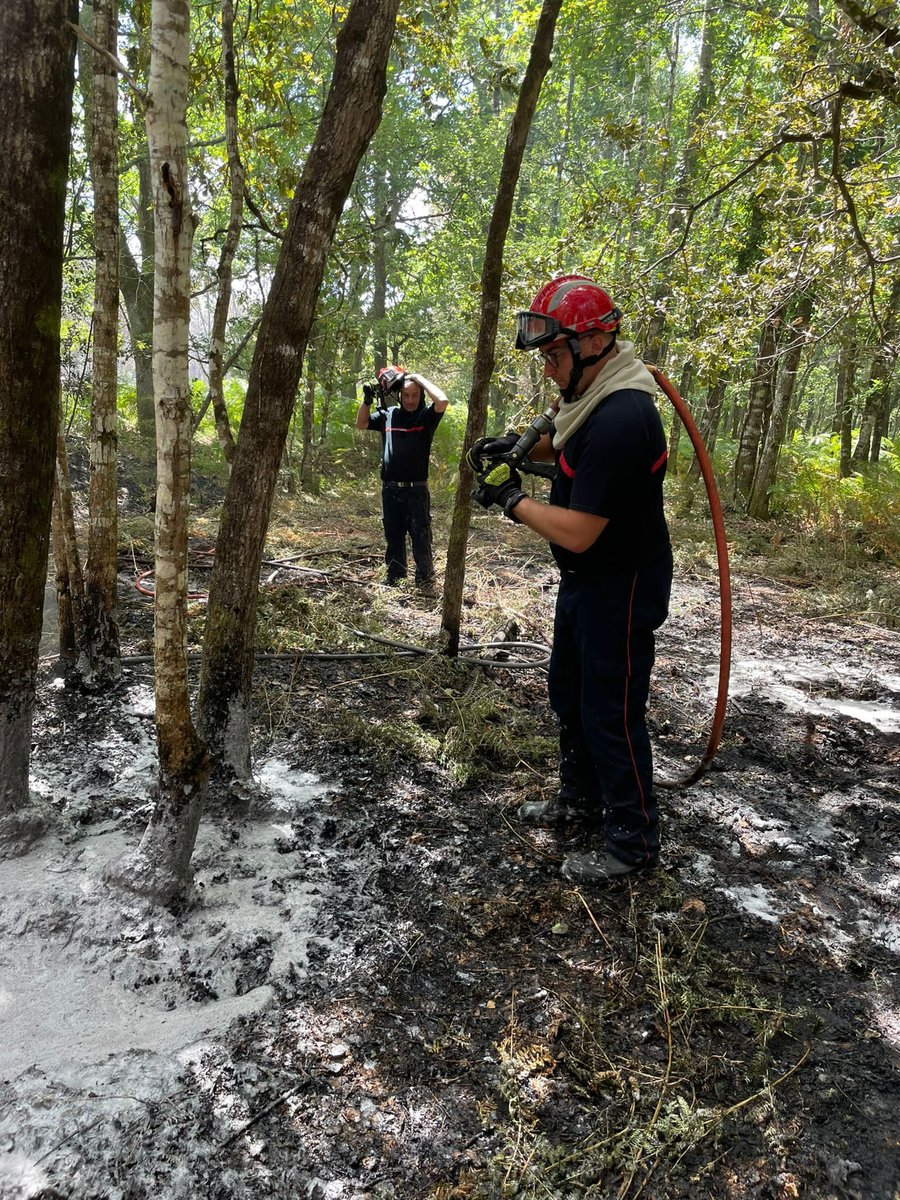 Prefet71's tweet photo. 👩‍🚒🧑‍🚒Parce que les sapeurs-pompiers de Saône-et-Loire et de toute la France , en ce moment, combattent sur tous les fronts jours et nuits, ils méritent bien un #jeudiphoto. 
👏Encore une fois remercions-les pour leur dévouement.
📸Crédit photo @SDIS71 https://t.co/rhZdwpJbuE
