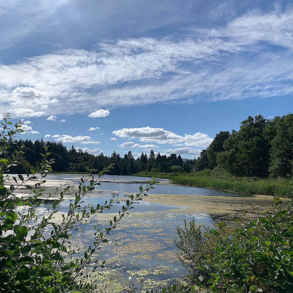 steponecharity's tweet image. A beautiful day for a nature walk at Stover Country Park for our Cypress Hospital staff ☀️

Check out our latest blog post that explores the mental health benefits of walking 💙👉 bit.ly/3QrI5Qv