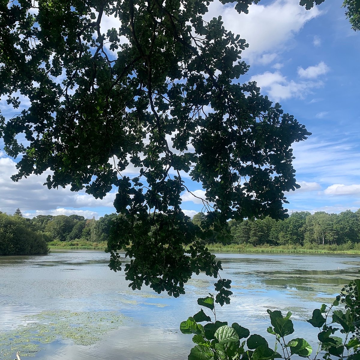 steponecharity's tweet image. A beautiful day for a nature walk at Stover Country Park for our Cypress Hospital staff ☀️

Check out our latest blog post that explores the mental health benefits of walking 💙👉 bit.ly/3QrI5Qv