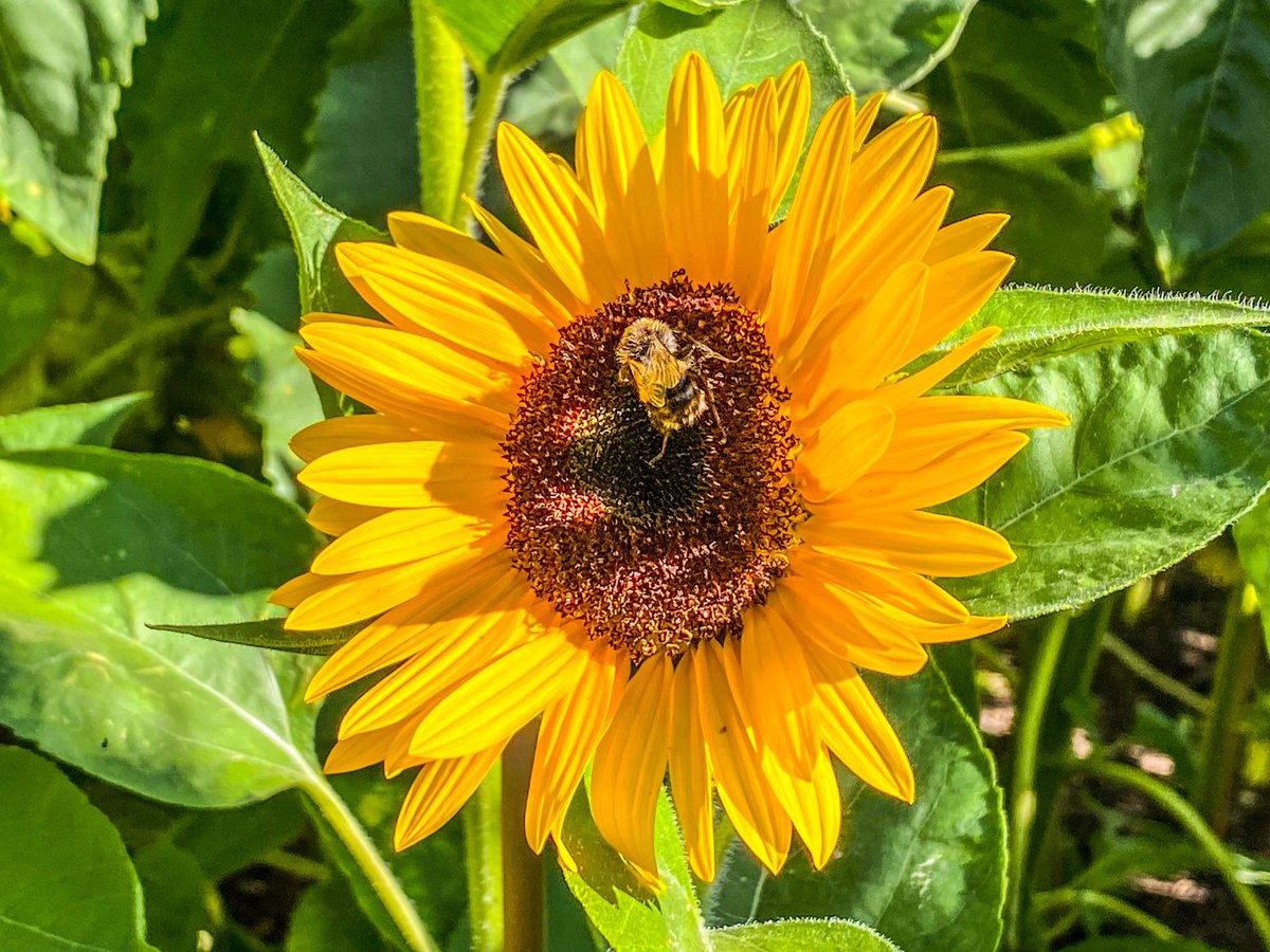 Good morning from Minster Kent <a href="/itvmeridian/">ITV News Meridian</a> <a href="/HollyJGreen/">Holly Green - Weather Presenter</a> <a href="/PhilippaDrewITV/">Philippa Drew</a> <a href="/itvweather/">ITV Weather</a> <a href="/ChrisPage90/">Chris Page - Weatherman</a> <a href="/WeatherAisling/">Aisling Creevey</a> <a href="/manalilukha/">Manali Lukha</a> <a href="/JoBlytheTV/">Jo Blythe 🤍</a> <a href="/Ruth_ITV/">Ruth_TV</a> <a href="/SallyWeather/">SallyWeather</a> <a href="/AmandaHouston/">Amanda Houston</a> <a href="/BeckyMantin_/">Becky Mantin</a> <a href="/metoffice/">Met Office</a> #weloveukweather <a href="/CommunityAd/">CommunityAd Ltd</a> <a href="/bbcweather/">BBC Weather</a> <a href="/weatherboysteve/">Weatherboy Steve</a> <a href="/BBCWthrWatchers/">BBC Weather Watchers</a>