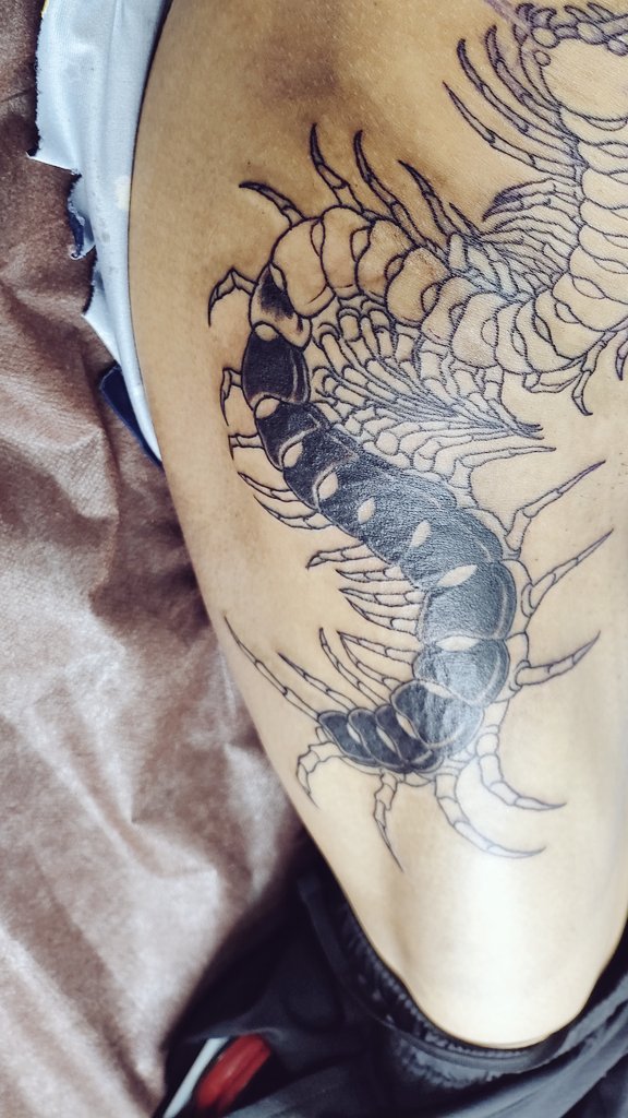 _n_septum's tweet photo. いれてきました
次で完成
#刺青
#ファーストタトゥー https://t.co/Aa1vxRM8pc