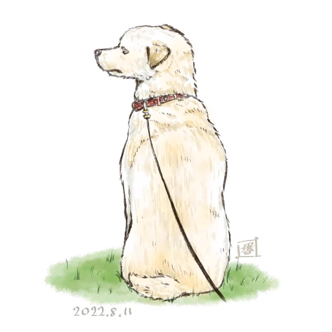 【正方形イラスト】ミツキ()さん!!誕生日おめでとうございます✩.*˚サプライズで、ちとせ描かせていただきました!!!カァイイ!!!#香辛料シナモン #香モンに描かせて #絵描き人#犬好きさんと繋がりたい#イラスト好きな人とつながりたい 
