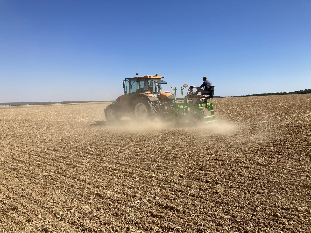 Romlaville's tweet photo. @BONNIN1402 @terresinovia @OlivierCOSTE2 @CecileDbv @Daboudet11 @GuyotVincent02 @JMerschiltz @TerrenetFR @FranceAgricole @Cultivarlemag @gabriel_omnes Nous on a choisit le sec et la poussière!
En espérant que la pluie annoncée semaine prochaine tombe enfin! https://t.co/1rUMXyxwkR