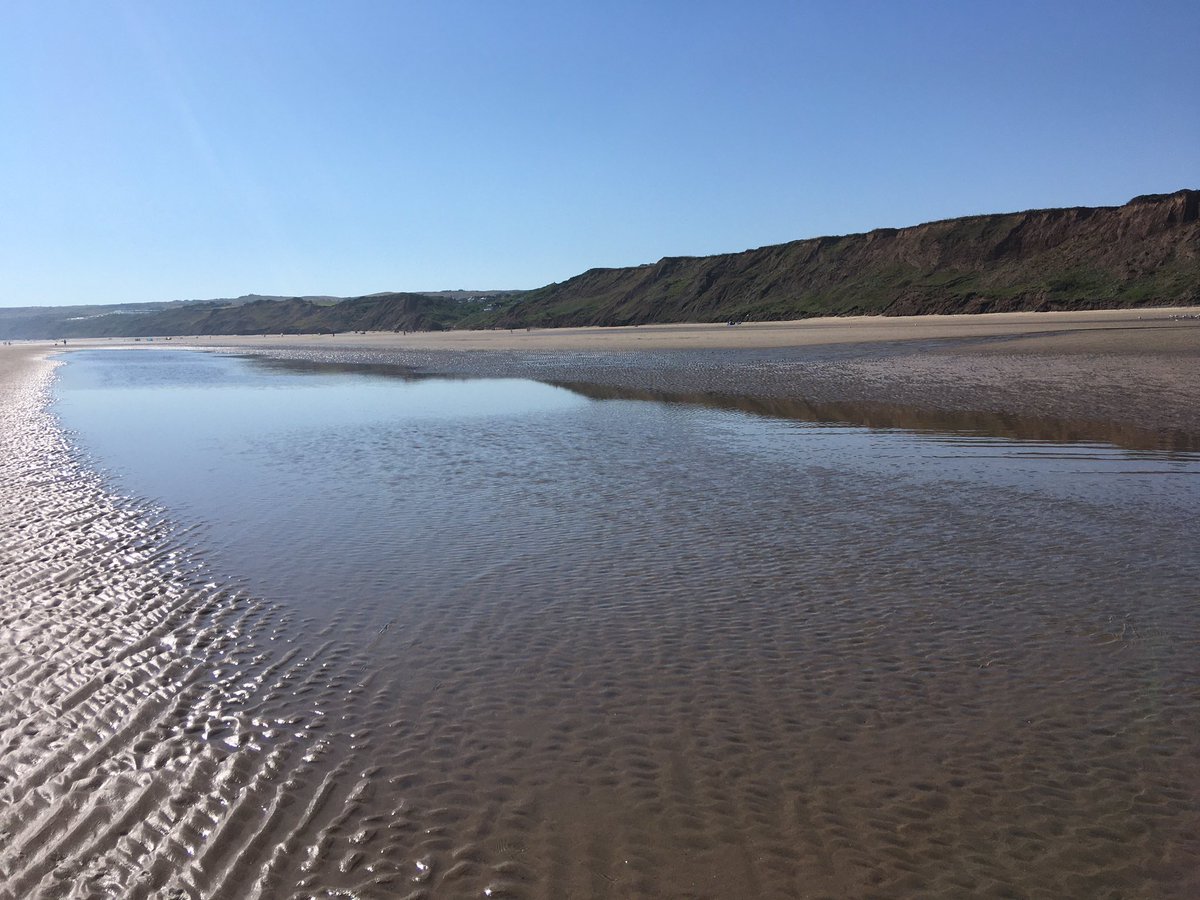 FloralRainbowAW's tweet photo. A paddle on our #MorningWalk at #HunmanbyGap cooler on the coast, plenty of Herring gulls and a wide expanse of beach π₯°βοΈπππ©΄ https://t.co/EJPVVG3NUR