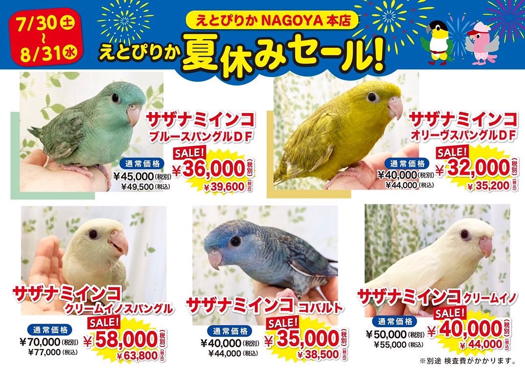 エトピリカさん専用 | www.gamescaxas.com
