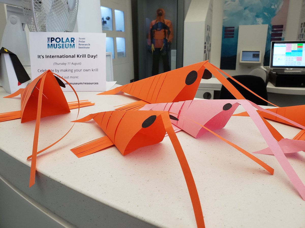 Visitors to the Polar Museum today will be greeted by krill to celebrate #WorldKrillDay!

If you'd like to make your own swarm, you can find instructions on our website: spri.cam.ac.uk/museum/resourc…