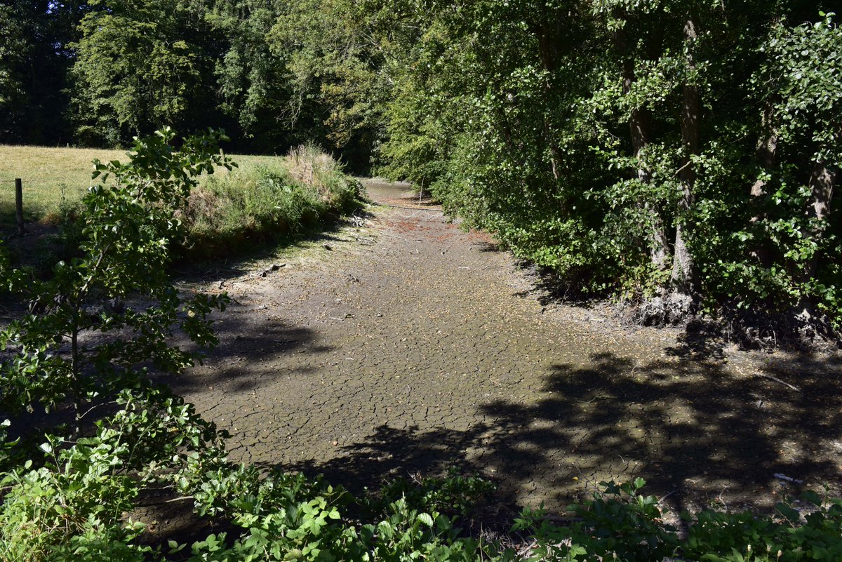 Vanaf vandaag geldt #coderood voor #droogte in Vlaanderen. Ga spaarzaam om met kraantjeswater en wees extreem voorzichtig  met open vuur, barbecues, vuurschalen en sigarettenpeuken. beveren.be/nl/nieuws/spaa…
