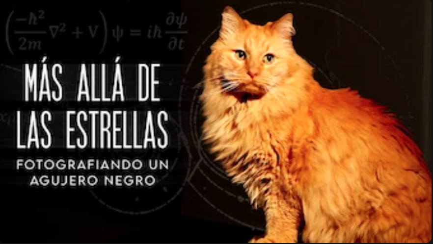 ¡¡¡El #IFT ya está en Netflix!!!

En el documental 'Más allá de las estrellas. Fotografiando un agujero negro', varios de nuestros investigadores explican cómo se investiga en física teórica y tratan algunos de los temas más importantes de la física fundamental 🤩