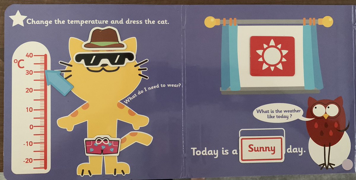 weathercat twitter