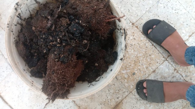 غسيل خزانات مع التعقيم والعزل تسليك مجاري بالضغط رش مبيدات كامل مكافحة النمل الابيض 0509373320 #السعودية #تسربات #عزل_خزانات_المياه_بالايبوكسي 
#تسليك_مجري_الصرف ط