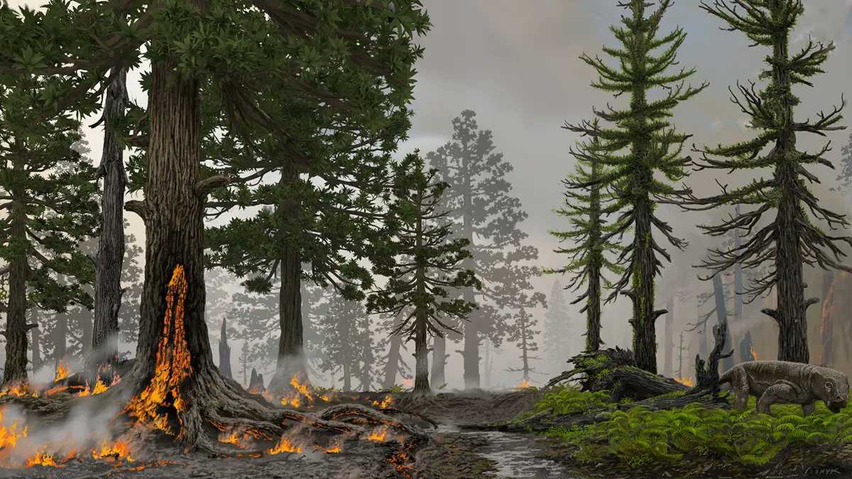 PALAIOS_Journal's tweet photo. A great publication win! 
Around 252 million years ago, volcanic eruptions set off a geologic domino effect culminating in the largest extinction event in Earth’s history. Read about this in a new study published in the journal PALAIOS by @sepmgeo: https://t.co/x2jG7d8AoW https://t.co/Caq3pSVEhV