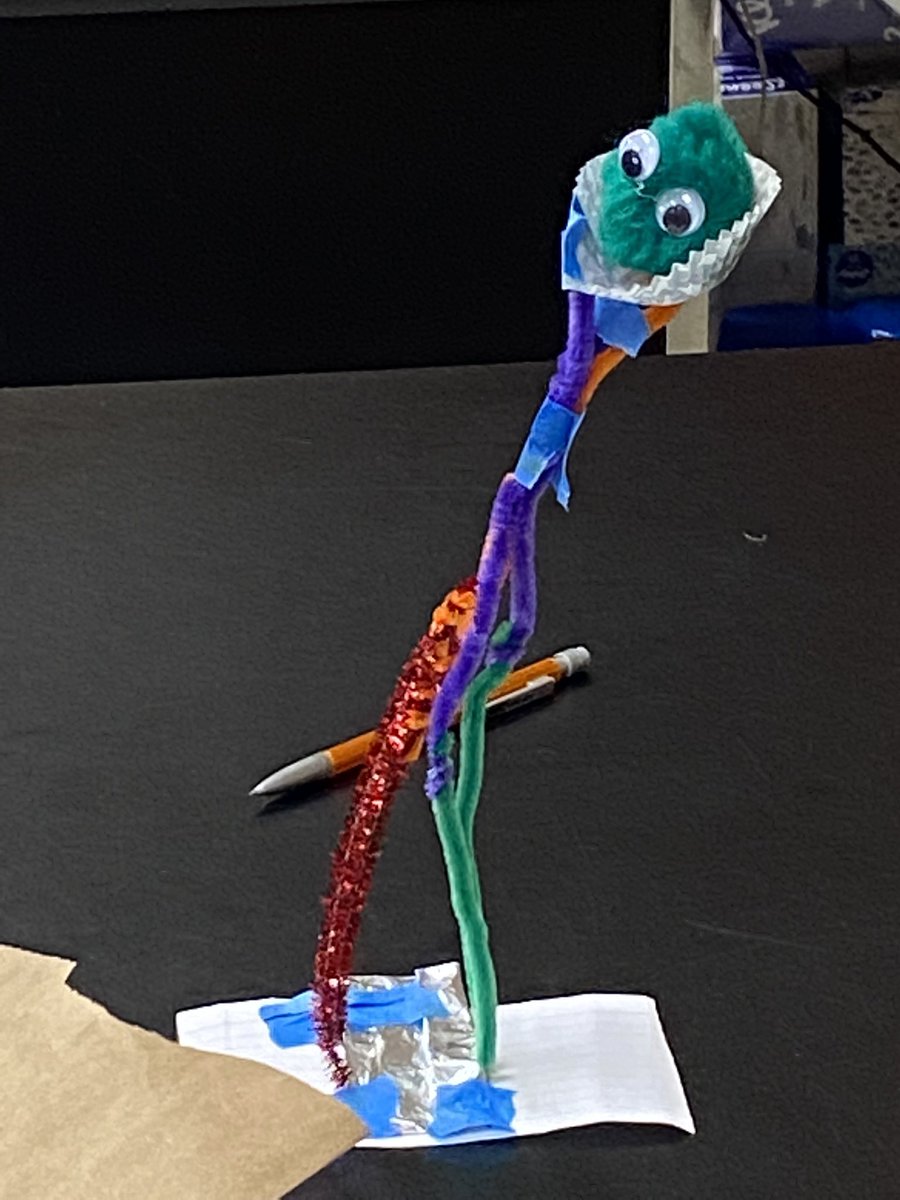 Danielle Sherfey tweet media