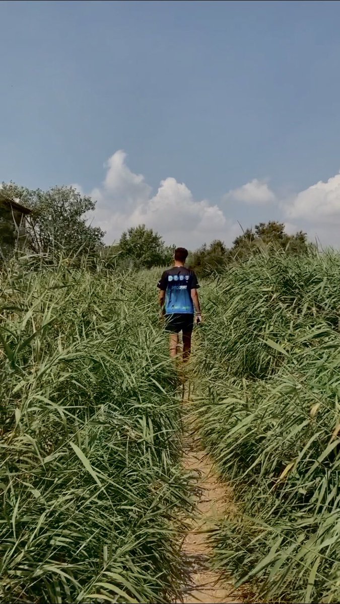 Des(conectar).☀️ 
#passióperviure