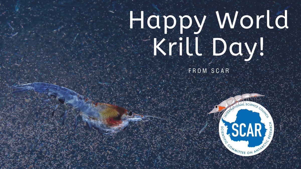 🎉 Today is the first ever #WorldKrillDay. 🎉

Did you know that we have a dedicated Action Group for these amazing creatures? 

Learn more about the SCAR Krill Action Group (SKAG) here and #JoinTheSwarm for some #Krillebration: 
scar.org/science/skag/a…