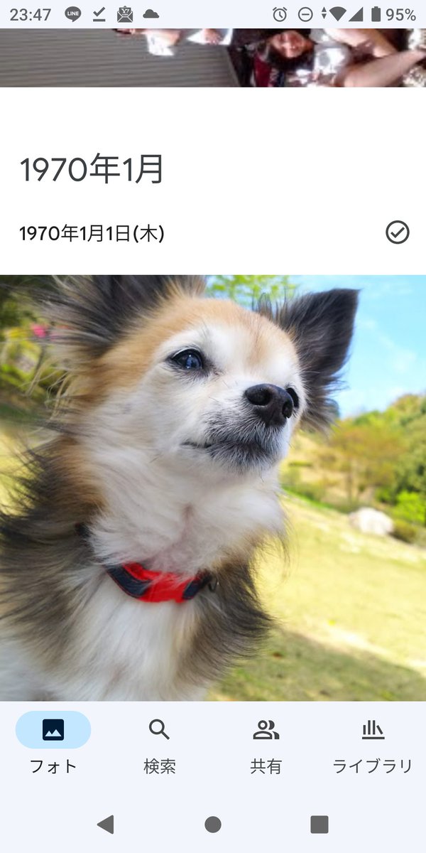 写真整理しよって思って、何気なくフォトの一番下見たら1970年1月1日の履歴で見知らぬ犬の写真出てきたんだけど、これって噂の「存在しない記憶」ってやつ？

ちなみに私は90年代生まれ‥‥