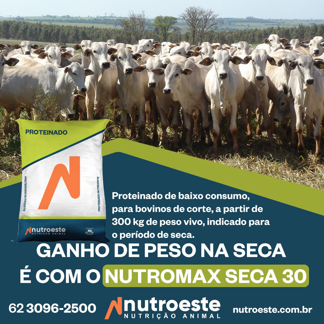 NUTROESTE's tweet photo. O Nutromax Seca 30 é um proteinado de baixo consumo, para bovinos de corte, 
a partir de 300 kg de peso vivo, indicado para o período de seca. 🐂🎯📈
.
#nutroeste #nutricaoanimal #pecuaria #pecuária #pecuariadecorte #gadodecorte #pecuariabrasil #pecuariaintensiva https://t.co/qFIkYiq30C