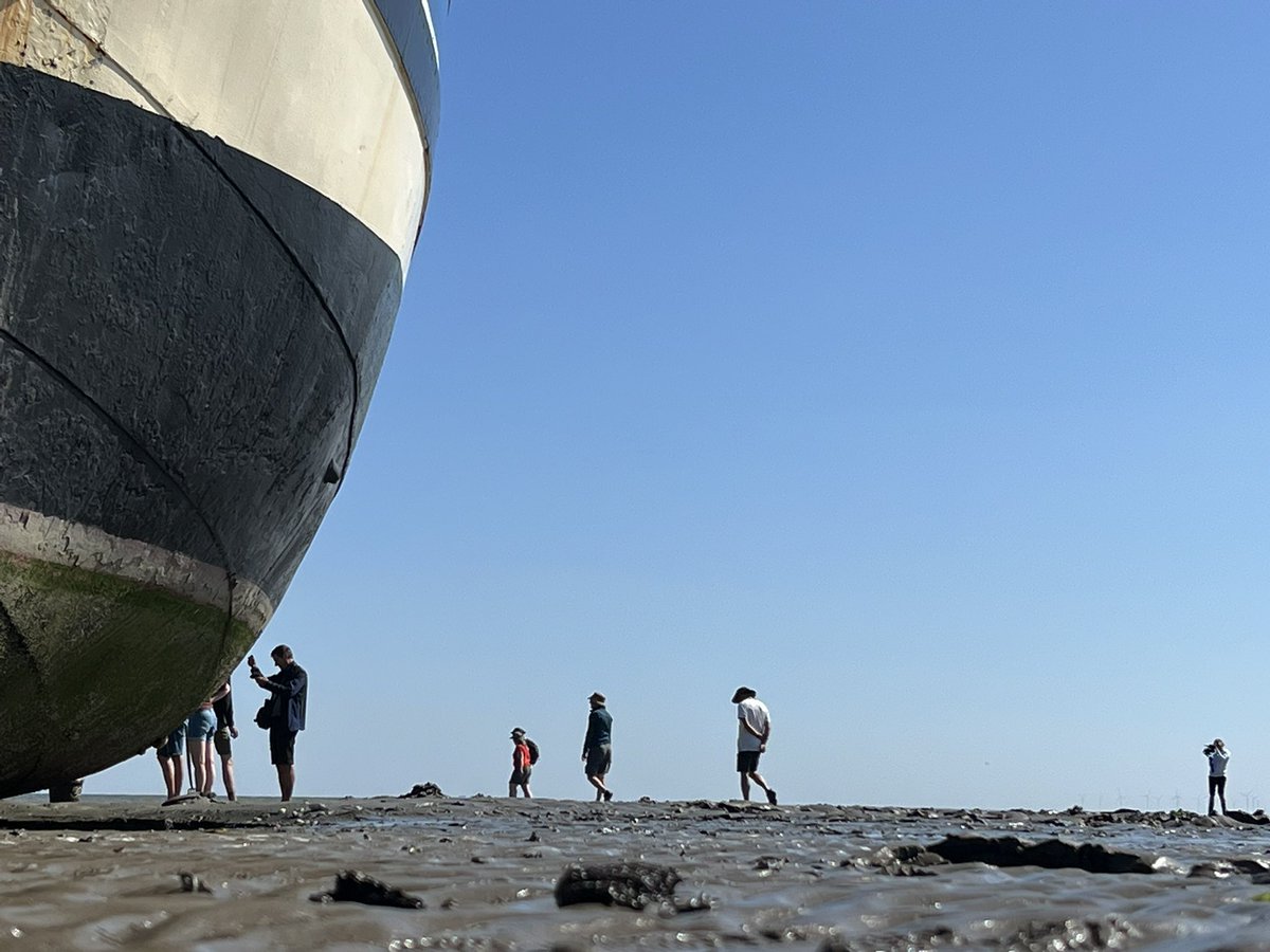 txgids's tweet photo. gisteren een mooie #droogvaltocht gehad op de #Grootvorst van @ShzHharlingen waarbij ik als #werelderfgoedgids mocht optreden voor @waddentweets
Met blije en relaxte gasten en mooie vondsten….. @WerelderfgoedWZ https://t.co/75BSGqEOXX
