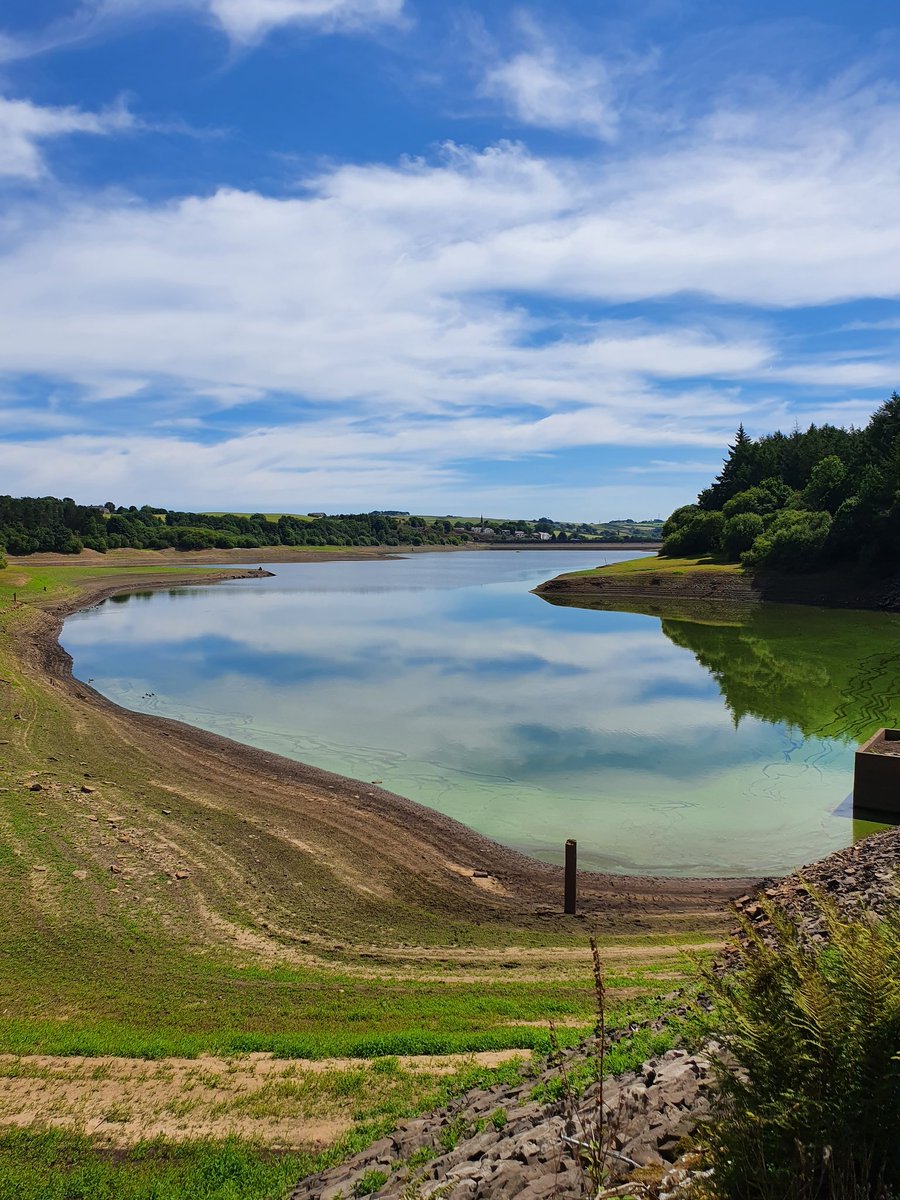DeeLambert2's tweet photo. Poor, parched Res, one side dry as a bone, the rest of it lower than I've ever seen it. #reservoir #Wayoh https://t.co/DTnkwce2S7