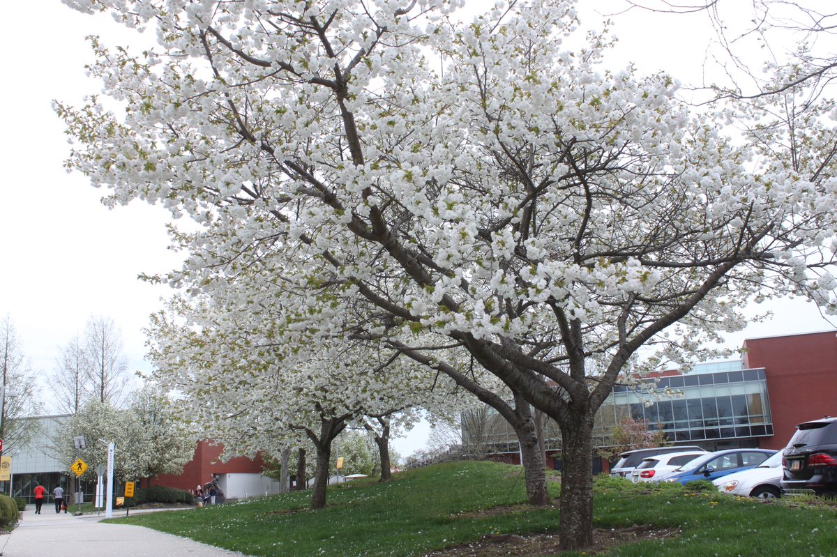 AdelphiU's tweet image. We couldn’t help ourselves from looking back to some of our favorite pictures of #SpringAtAdelphi #ThrowbackThursday