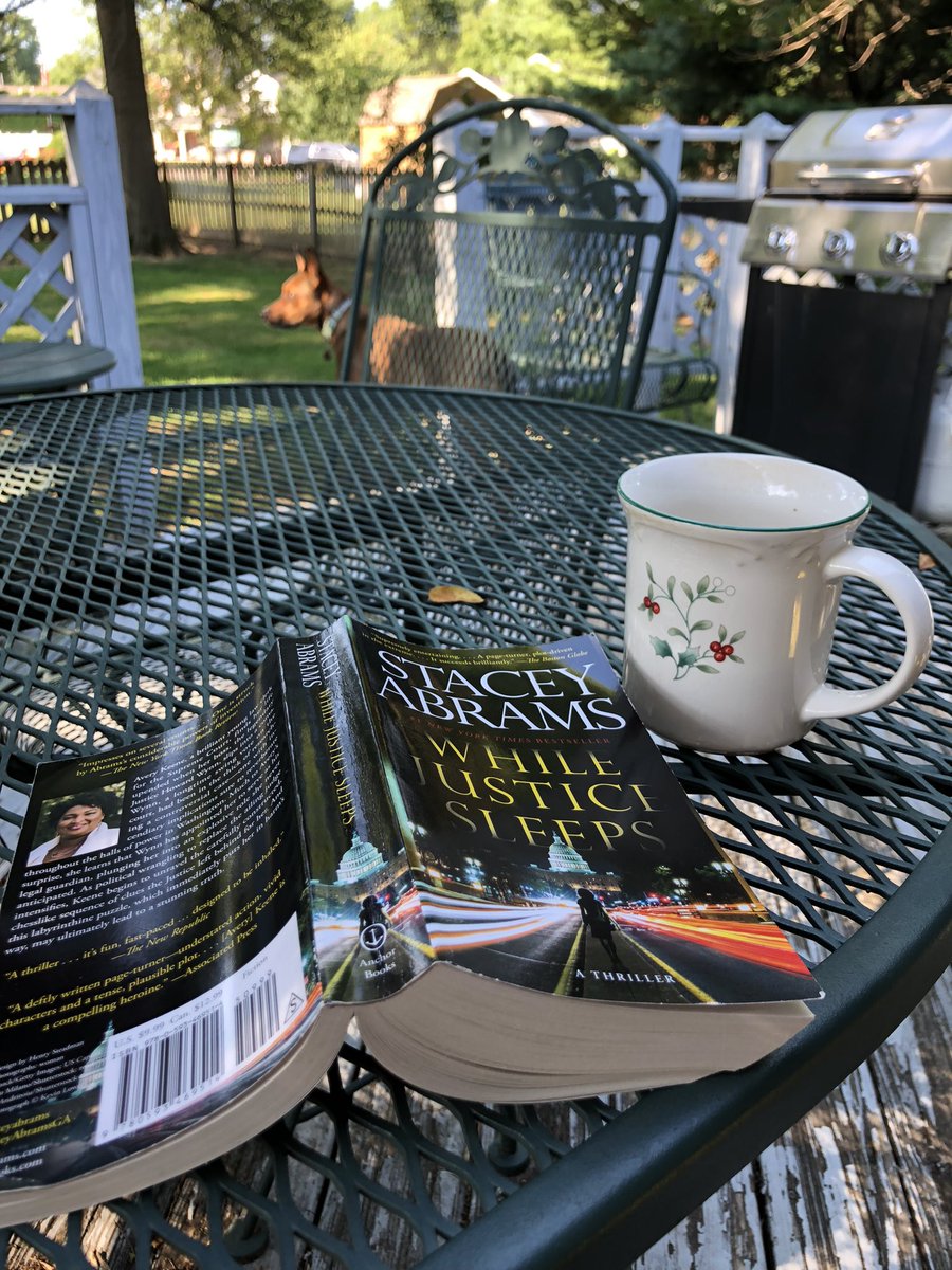 SusanSchmitz9's tweet photo. How could I have forgotten to add the picture of the novel? https://t.co/rCxSFcZpaZ