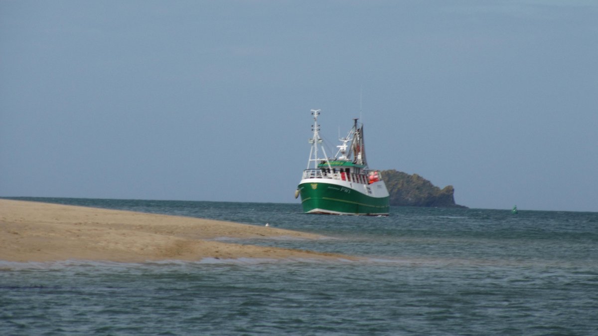 JNCC_UK's tweet photo. We are recruiting a Senior Fisheries Advisor https://t.co/FU6OGnNoXn. Main focus will be contributing to provision of advice on the impacts of fishing in UK offshore waters. Closes 29 Aug. #Fisheries #Advice #JobOpportunity https://t.co/kGWz5nD4v5