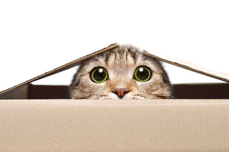 Lizziepops0's tweet photo. @I_Am_Edwards24 Hiding from your crass-ness https://t.co/WtSyVE1Fpq