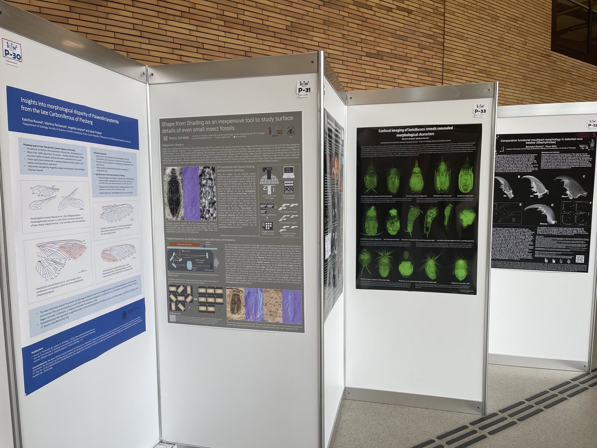 ICIM-5-Vienna-2022 (@5icim) on Twitter photo The posters <a href="/5Icim/">ICIM-5-Vienna-2022</a> are of the same fantastic quality as the talks. Bravo to all contributors 🙏👌💪 The posters <a href="/5Icim/">ICIM-5-Vienna-2022</a> are of the same fantastic quality as the talks. Bravo to all contributors 🙏👌💪