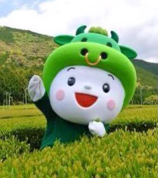 Chachamo, a kid in a green cow costume, is the mascot of Matsusaka City, Japan. 