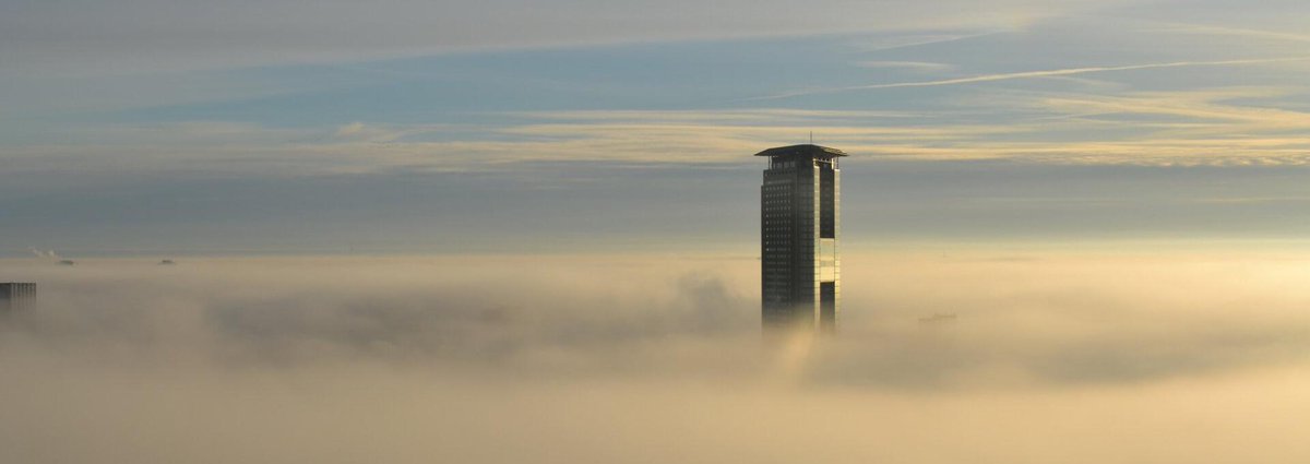 🖥️ l 𝐀𝐥𝐭𝐢𝐣𝐝 𝐞𝐧 𝐨𝐯𝐞𝐫𝐚𝐥 𝐭𝐨𝐞𝐠𝐚𝐧𝐠 𝐭𝐨𝐭 𝐣𝐞 𝐨𝐧𝐥𝐢𝐧𝐞 𝐰𝐞𝐫𝐤𝐩𝐥𝐞𝐤. Met Windows Cloud Desktop kun je overal en wanneer je maar wilt werken op elk device. Dit is dé cloud werkplek voor het MKB.

Meer weten? 👉 protagonist.nl/clouddiensten/….